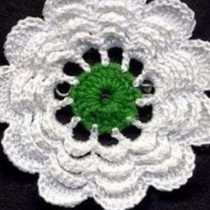 Meet your Posher, Ibric